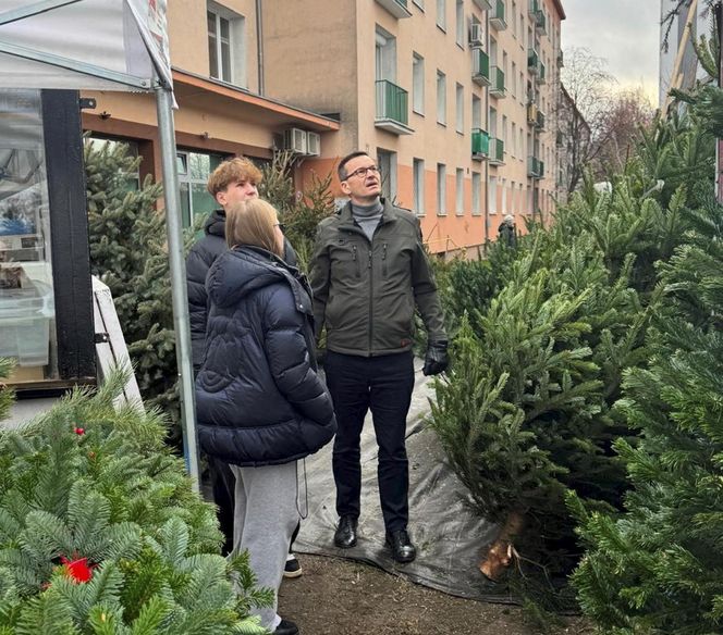 Mateusz Morawiecki wybiera choinkę na bazarze. Do świąt przygotowuje się z rodziną