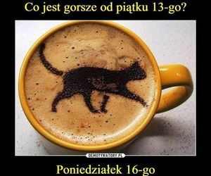 Memy na piątek trzynastego. Zestaw, który pomoże przetrwać ten dzień