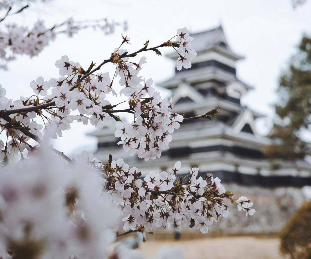 Trwa nabór na wyjazd studyjny do Japonii