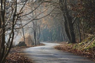 Wkrótce na lubelskich drogach zrobi się tłoczno. Zbliża dzień Wszystkich Świętych