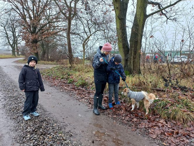 Bieg z seniorkiem - akcja schroniska w Hnerykowie dla podopiecznych psów