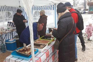 Jarmark Bożonarodzeniowy na Starym Mieście w Iławie [ZDJĘCIA]