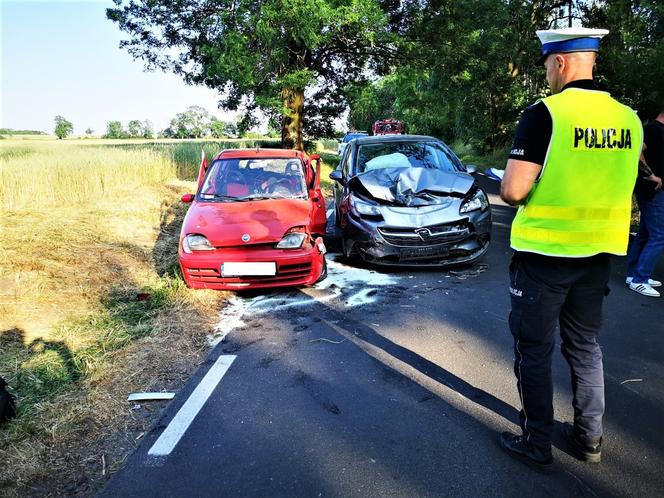 Śmiertelny wypadek pod Szamotułami. Pijany Ukrainiec staranował dwóch 14-latków 