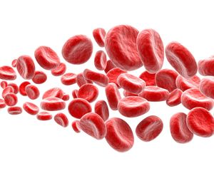 ANEMIA - przyczyny niedokrwistości