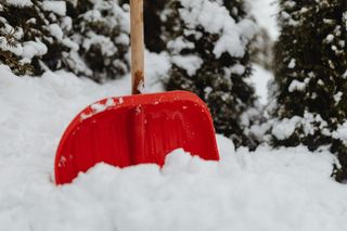 W prognozach widać już pierwszy śnieg! Synoptycy nie mają wątpliwości. Mróz chwyci już w ten weekend!