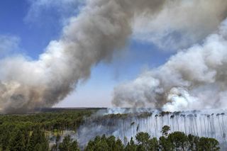 Świat traci lasy w rekordowym tempie. Wszystko przez pożary i susze