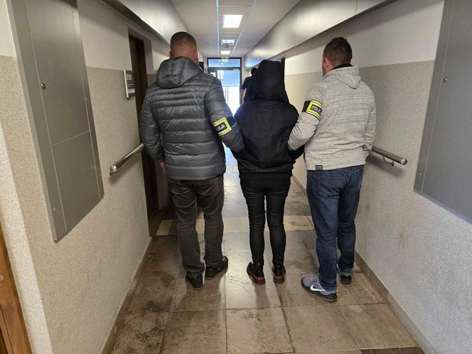 Policja rozbiła gang wyłudzający dotacje na szkoły