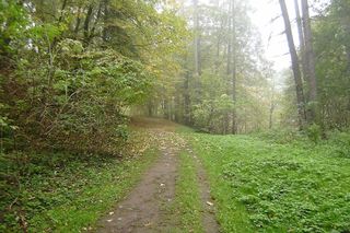 Lubelskie - transgraniczna współpraca i polsko-ukraińska rewitalizacja parków [AUDIO]