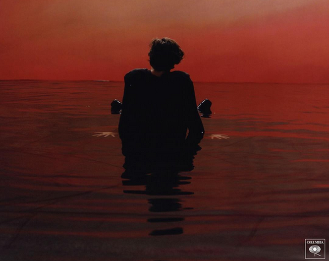 Sign Of The Times - Harry Styles
