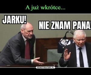 Najlepsze memy z okazji 75. urodzin Jarosława Kaczyńskiego. Te obrazki rozbawią cię do łez!