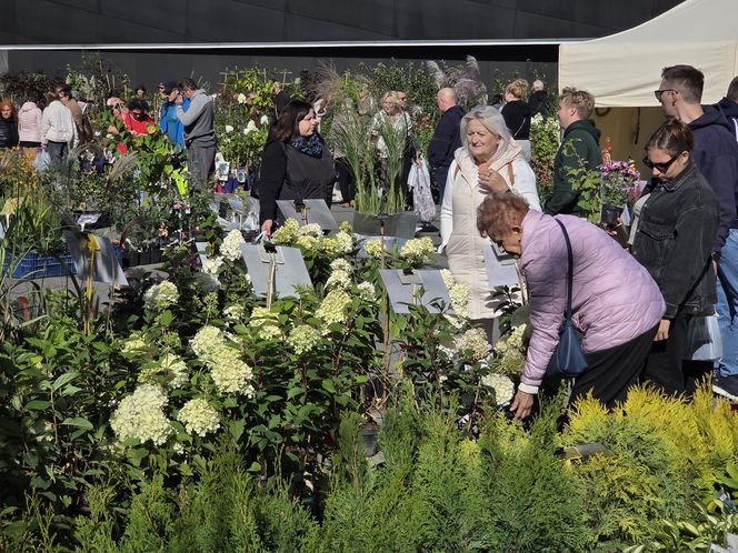 Jesienny Kiermasz Ogrodniczy w Bydgoszczy przyciągnął miłośników zieleni i smakołyków!