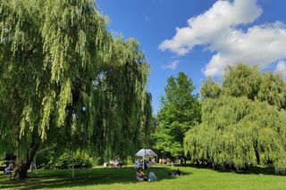 Ceny biletów do Ogrodu Botanicznego w Zabrzu wystrzeliły w górę