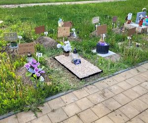 W całym woj. śląskim jest tylko jeden taki cmentarz. Miejsce, gdzie pamięć o pupilu nie umiera