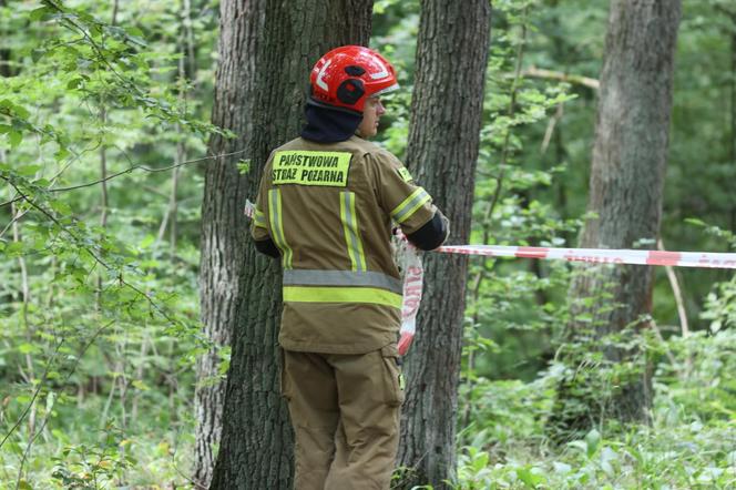 Kobieta przygnieciona przez drzewo 