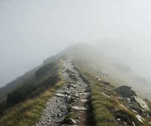 Zniknął na Maderze. Co stało się z Igorem Holewińskim w górach?