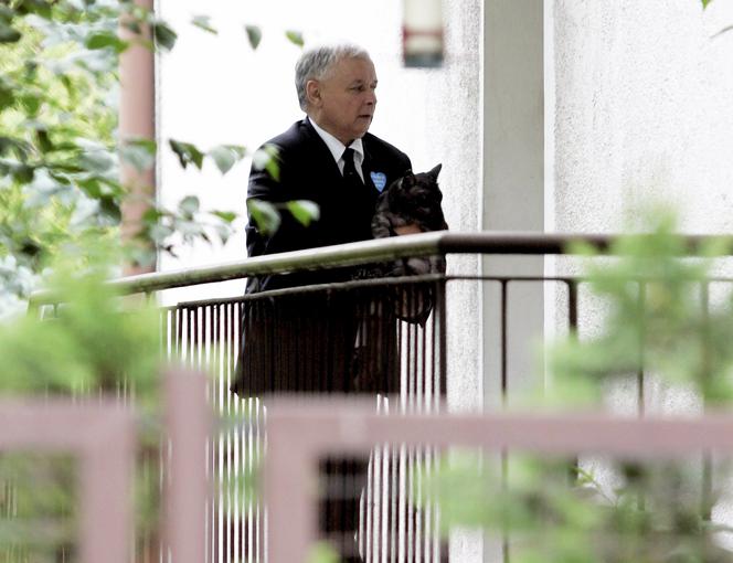 Jarosław Kaczyński uwielbia koty