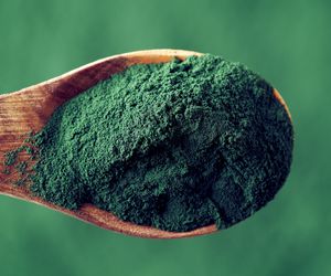 Chlorella - źródło białka i witamin. Jakie ma właściwości zdrowotne?