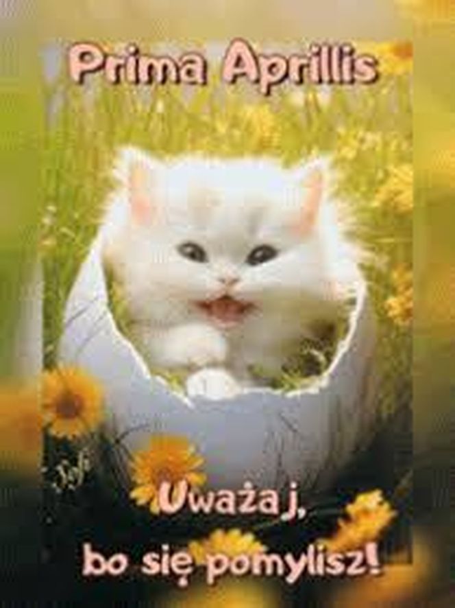 Kartki i grafiki na Prima Aprilis 2025. Pobierz za darmo i świętuj 1 kwietnia z humorem!