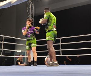 Walczyli dla Krystiana. Charytatywna gala boksu Hero Boxing Fighters 3 „Jungle”