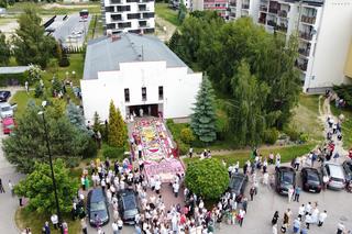 Dywan z kwiatów Świdnik