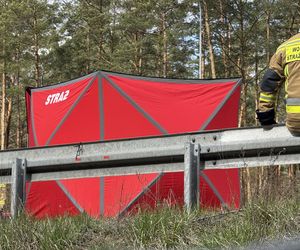 Śmiertelny wypadek na S8! Jedna osoba nie żyje po zderzeniu trzech 