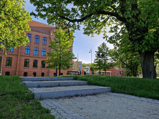 Plac Kościeleckich rozkwita na wiosnę. Bydgoszczanie chętnie wybierają go na spacer