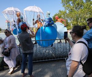 Wianki nad Wisłą 2025 w Warszawie - piknik