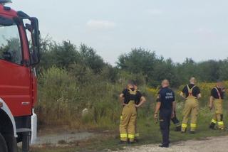 Żrąca substancja na Białołęce! Co się dzieje na działce dewelopera?