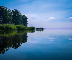 Test dla miłośników przyrody. Ile wiesz o przyrodzie w Zachodniopomorskiem?