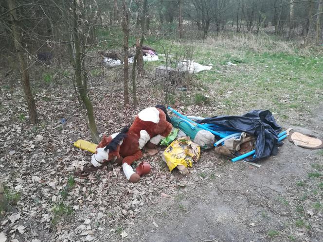 Śmieci w lasach - Siedlce