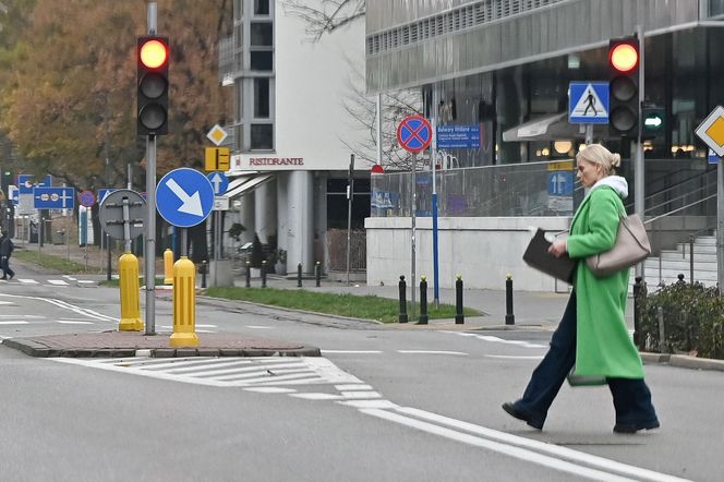 Małgorzata Foremniak. Zosia samosia