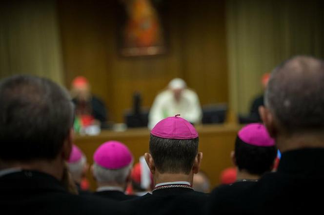 Extraordinary Assembly of the Synod of Bishops