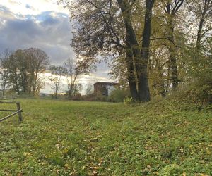 Zamek w Dąbrówce Starzeńskiej