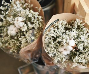 Życzenia na imieniny Krystyny 13.03.2025. Mamy darmowe wierszyki i rymowanki dla Krysi! Zobacz najlepsze propozycje [SMS, FACEBOOK]