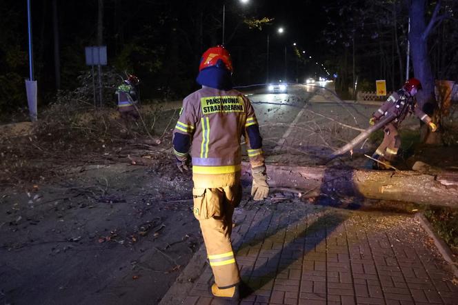 Małopolska: wieje silny wiatr, który łamie gałęzie i drzewa. IMGW ostrzega: zagrożenie dla zdrowia i życia