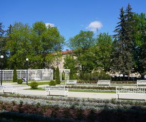 Różanka w Parku Planty po remoncie