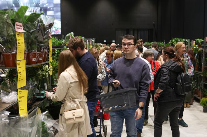 Festiwal Roślin w Katowicach przyciągnął tłumy miłośników zieleni. MCK przepełnione roślinnością