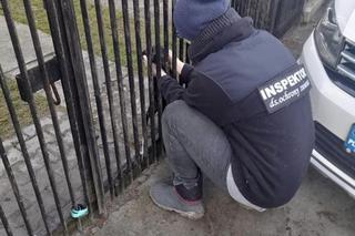 Strażak bestialsko znęcał się nad psem. „Nie był w stanie ustać na nogach” [ZDJĘCIA]