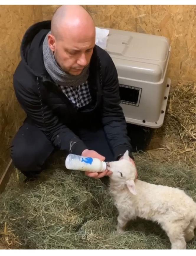 Zostałem mamą Henia