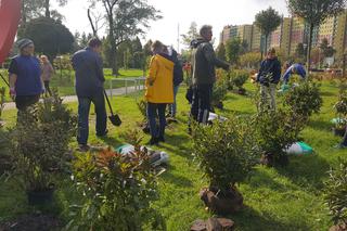 Pastwisko dla koni w Sosnowcu