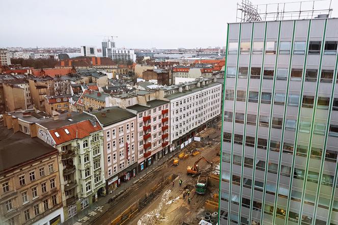 Szkielet dinozaura odkryty podczas prac na ulicy św. Marcin
