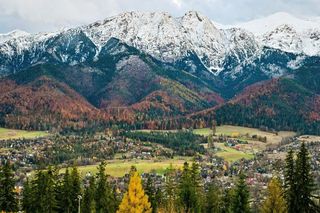 Deszcz w całym kraju, a w górach śnieg i wichura. IMGW ostrzega przed silnym wiatrem