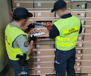 Kontrabanda za 1,5 mln zł ukryta w cebuli. Podlaska KAS udaremniła przemyt papierosów