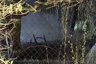 Tragedia na terenie ogródków działkowych. Altanka stanęła w ogniu. W srodku znaleźli zwęglone ciało