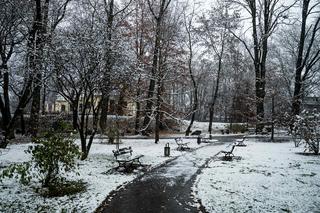 Skawiński park w zimowej otoczce