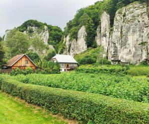 Ojcowski Park Narodowy. Dorzecze Prądnika