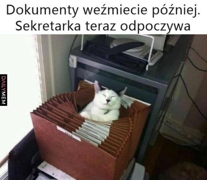 Memy z okazji Dnia Sekretarki 