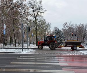 Początek sezonu zimowego w Lesznie - 22 listopada 2024