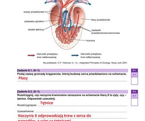 Matura 2025 biologia rozszerzona: ODPOWIEDZI do wszystkich zadań, gotowe rozwiązania matury z biologii rozszerzonej [9.05.2025]	