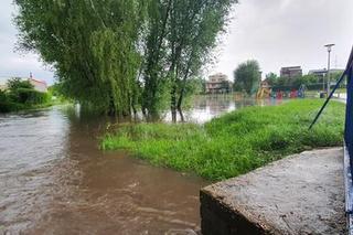 Oberwanie chmury na Śląsku. Drogi zalane, potoki wystąpiły z brzegów